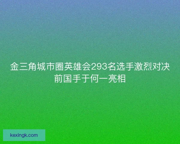 金三角城市圈英雄会293名选手激烈对决前国手于何一亮相 金三角城市圈英雄会293名选手激烈对决前国手于何一亮相